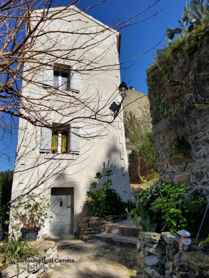 maison casa nova Biguglia  Extérieur photo